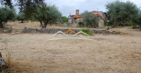 Moradia para Restaurar T3 Venda em Além da Ribeira e Pedreira,Tomar