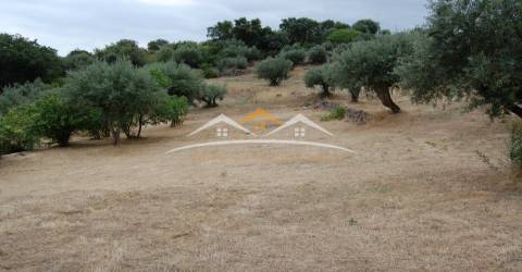 Moradia para Restaurar T3 Venda em Além da Ribeira e Pedreira,Tomar