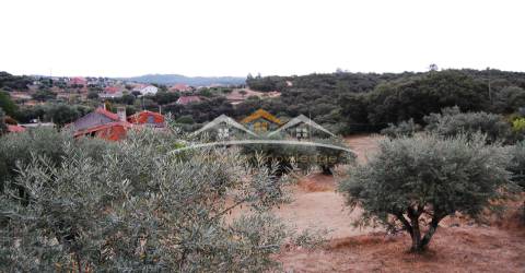 Moradia para Restaurar T3 Venda em Além da Ribeira e Pedreira,Tomar