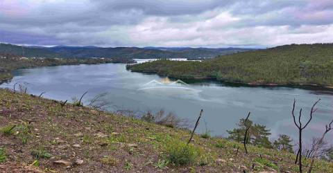 Terreno Rústico  Venda em Olalhas,Tomar