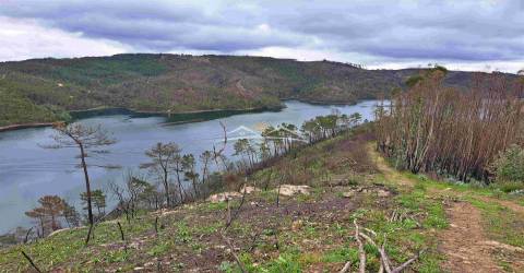 Terreno Rústico  Venda em Olalhas,Tomar