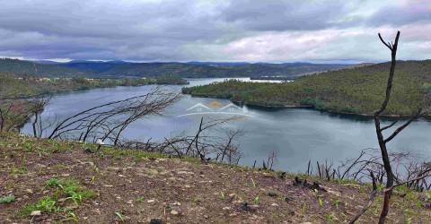 Terreno Rústico  Venda em Olalhas,Tomar