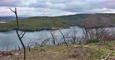 Terreno Rústico  Venda em Olalhas,Tomar