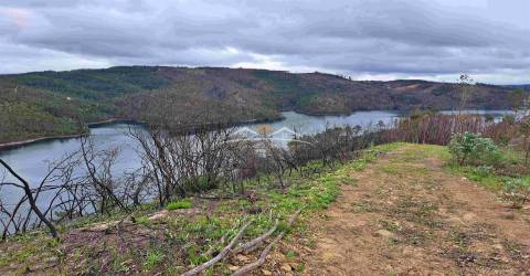 Terreno Rústico  Venda em Olalhas,Tomar