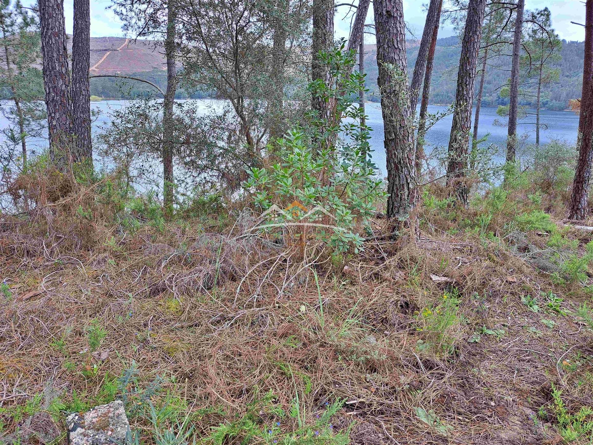 Terreno com acesso ao rio