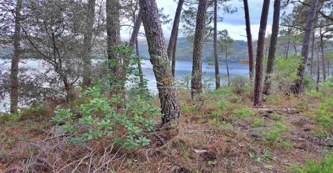 Terreno com acesso ao rio