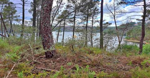 Terreno com acesso ao rio
