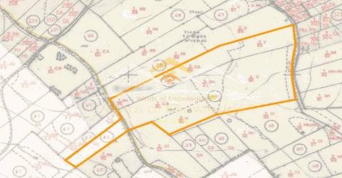 Terreno Rústico  Venda em Chãos,Ferreira do Zêzere