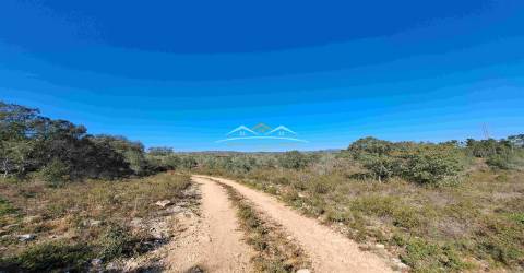 Terreno Rústico  Venda em Chãos,Ferreira do Zêzere