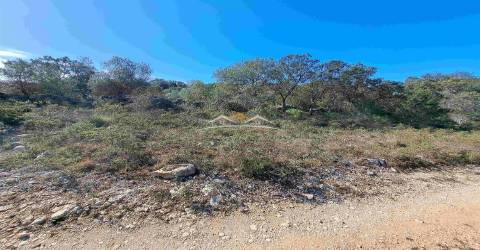 Terreno Rústico  Venda em Chãos,Ferreira do Zêzere