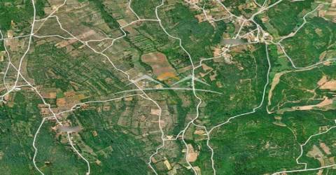 Terreno Rústico  Venda em Chãos,Ferreira do Zêzere