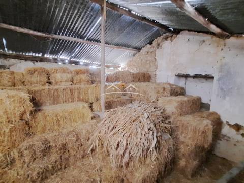 Moradia T3 Venda em Areias e Pias,Ferreira do Zêzere