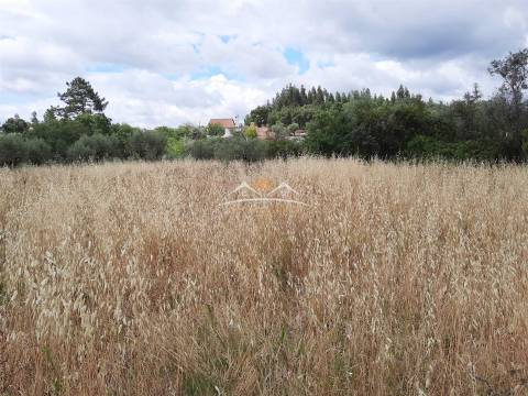 Moradia T3 Venda em Areias e Pias,Ferreira do Zêzere