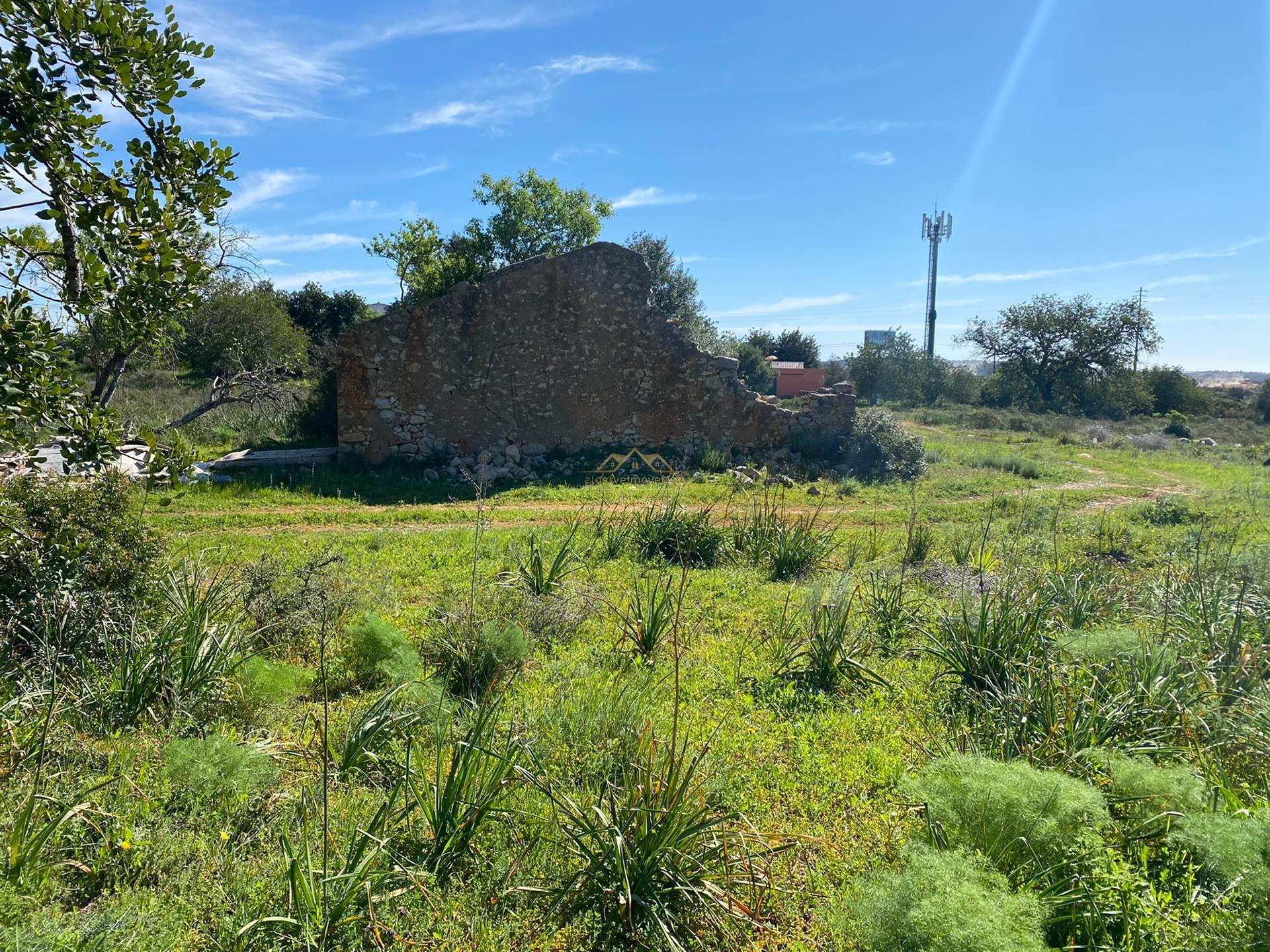 Terreno com 50.260 m2 com ruina de 180 m2