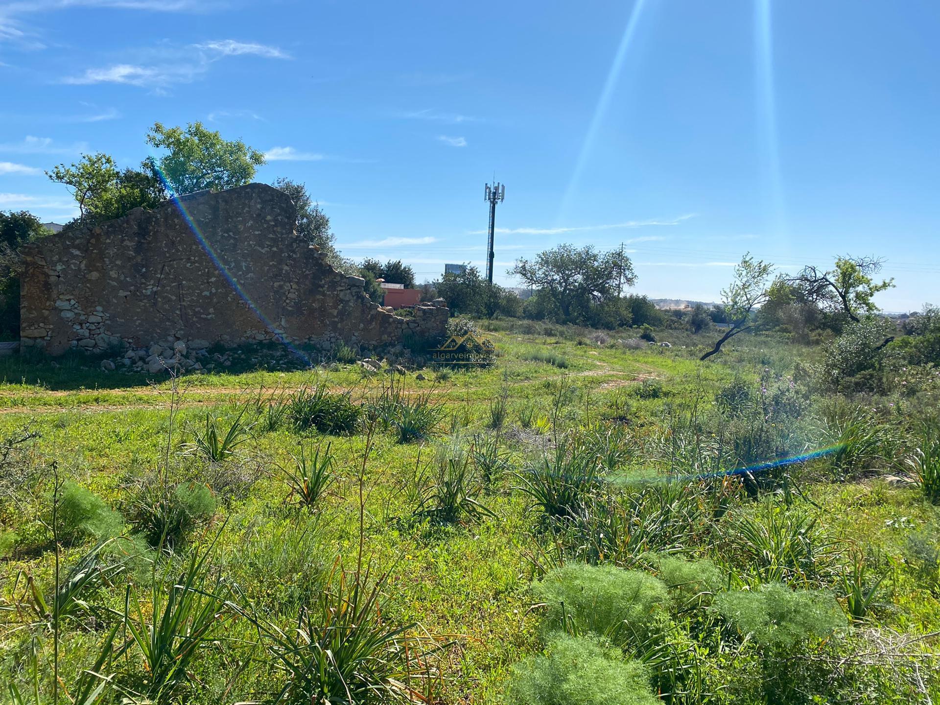 Terreno com 50.260 m2 com ruina de 180 m2