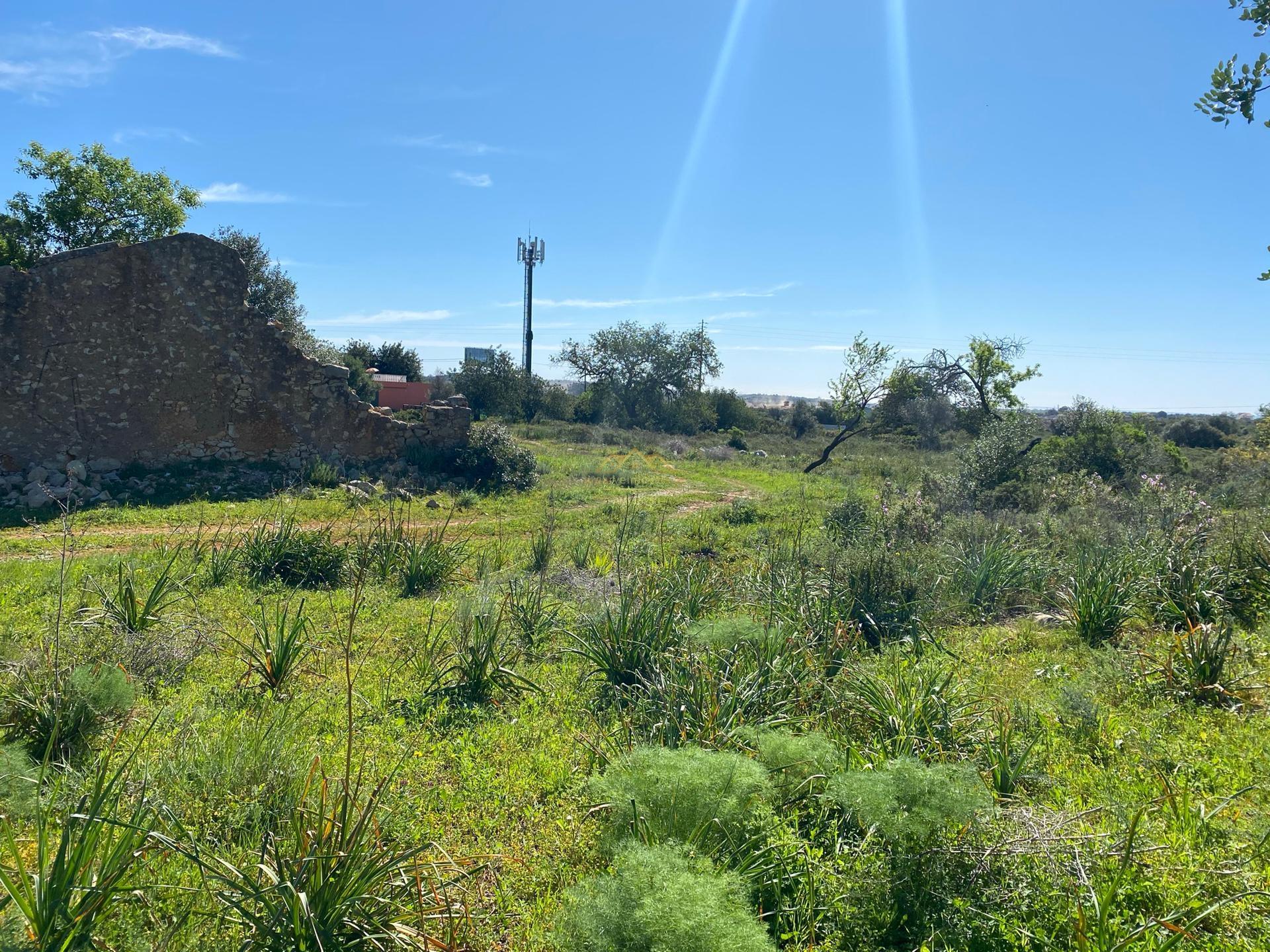 Terreno com 50.260 m2 com ruina de 180 m2