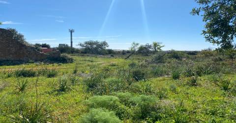 Terreno com 50.260 m2 com ruina de 180 m2