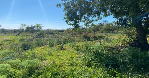 Terreno com 50.260 m2 com ruina de 180 m2