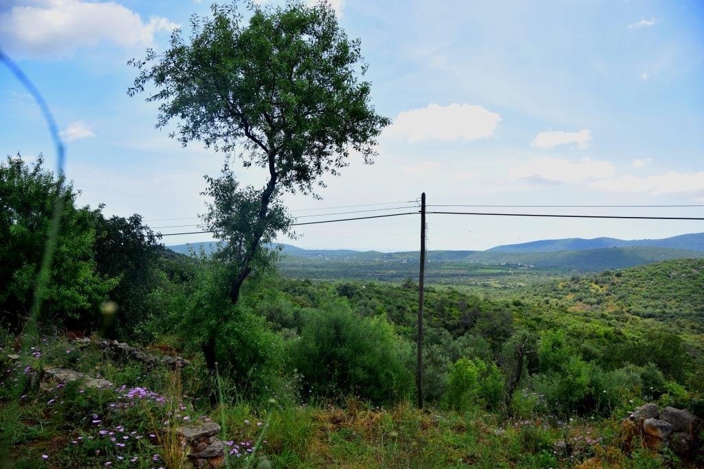 Terreno com Ruína - Algarve