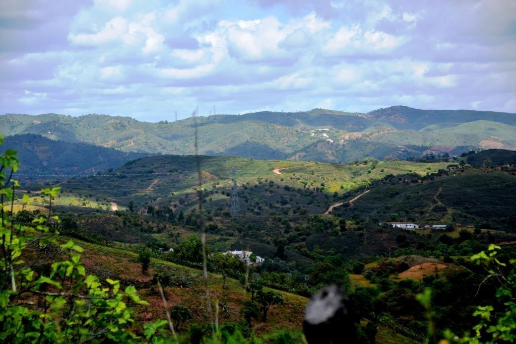 Terreno com Ruína - Algarve