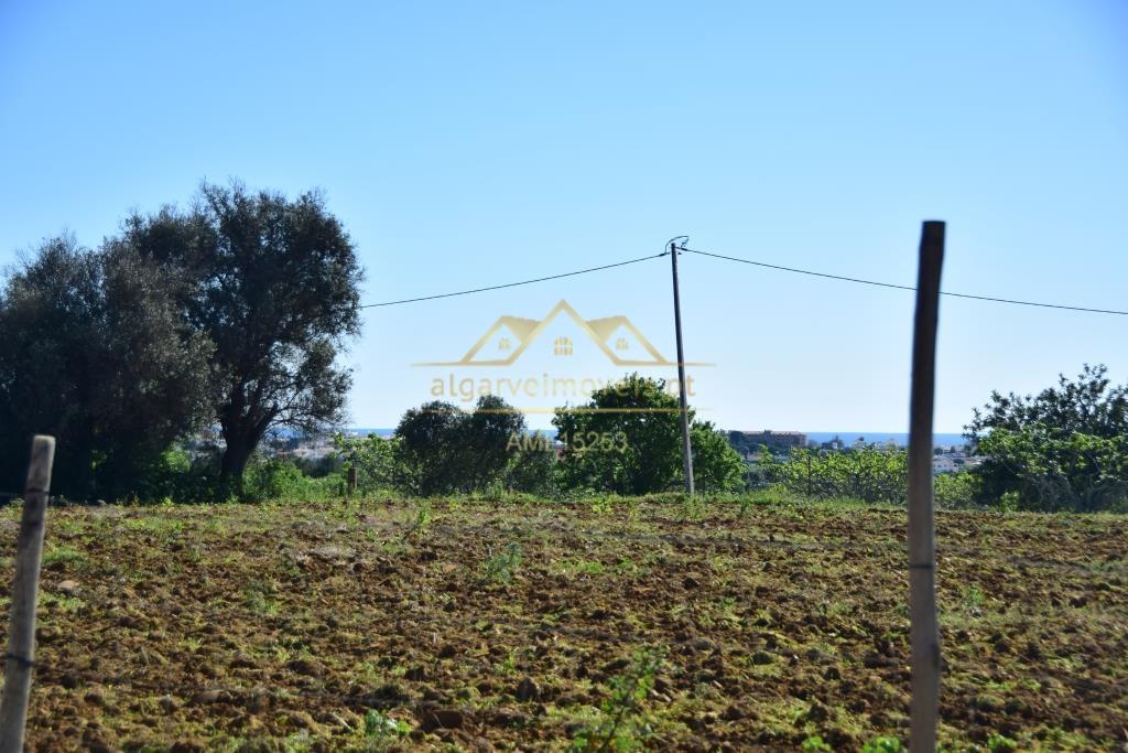 Quinta com projecto para Hotel Rural - Albufeira