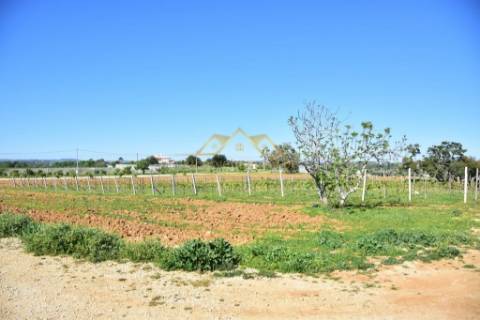 Quinta com projecto para Hotel Rural - Albufeira