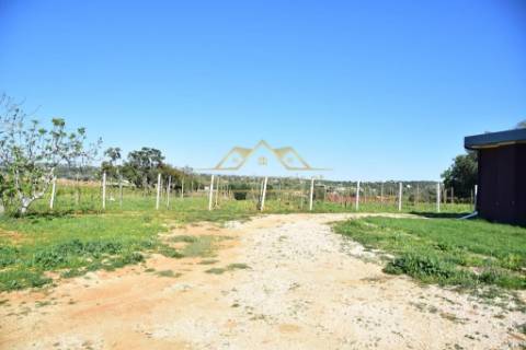 Quinta com projecto para Hotel Rural - Albufeira