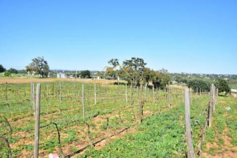 Quinta com projecto para Hotel Rural - Albufeira
