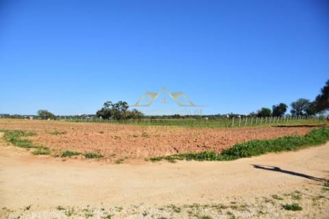 Quinta com projecto para Hotel Rural - Albufeira