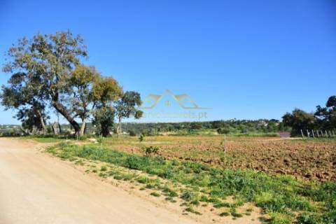 Quinta com projecto para Hotel Rural - Albufeira