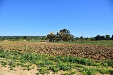 Quinta com projecto para Hotel Rural - Albufeira