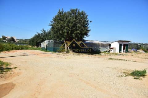 Quinta com projecto para Hotel Rural - Albufeira