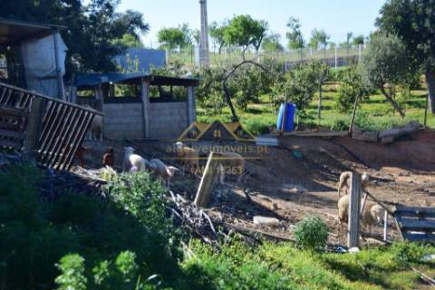 Quinta com projecto para Hotel Rural - Albufeira