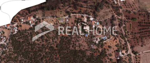 Terreno Misto  Venda em São Brás de Alportel,São Brás de Alportel