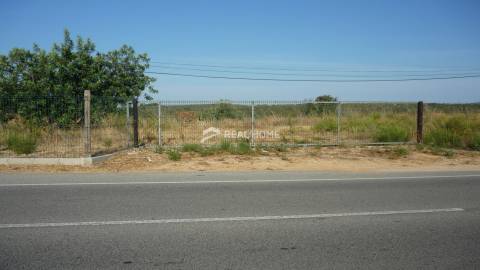 Terreno com ruína perto do centro de Loulé