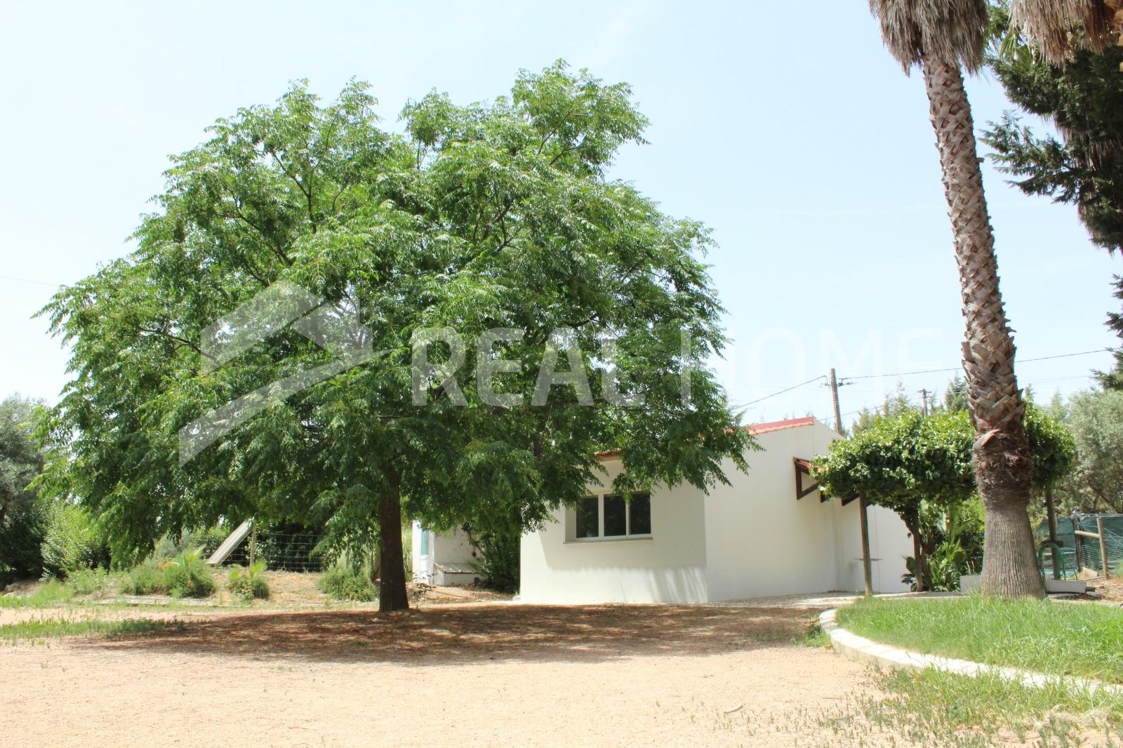 Quinta T5+1 Venda em São João Baptista,Campo Maior