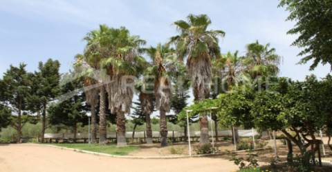 Quinta T5+1 Venda em São João Baptista,Campo Maior