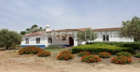 Quinta T5+1 Venda em São João Baptista,Campo Maior