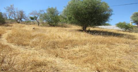 Terreno Para Construção T3 Venda em Boliqueime,Loulé