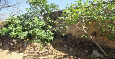 Terreno Para Construção T3 Venda em Boliqueime,Loulé