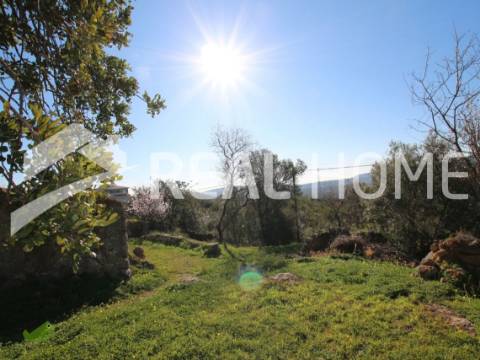 Terreno Misto  Venda em São Brás de Alportel,São Brás de Alportel