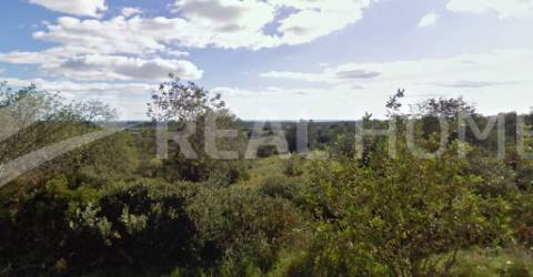 Terreno Rústico  Venda em Boliqueime,Loulé