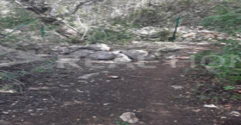 Terreno Rústico  Venda em Loulé (São Clemente),Loulé