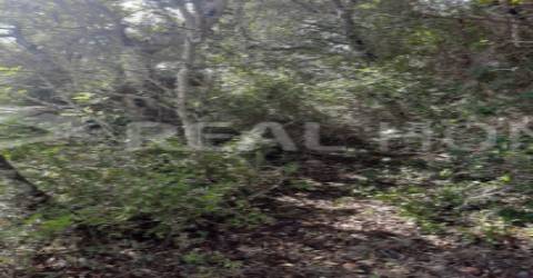 Terreno Rústico  Venda em Loulé (São Clemente),Loulé