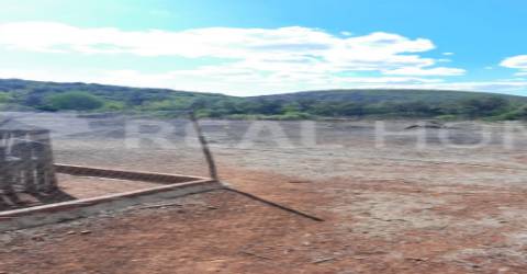 Terreno Rústico  Venda em Loulé (São Clemente),Loulé