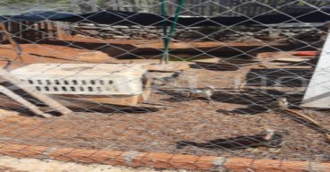 Terreno Rústico  Venda em Loulé (São Clemente),Loulé