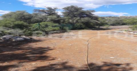 Terreno Rústico  Venda em Loulé (São Clemente),Loulé