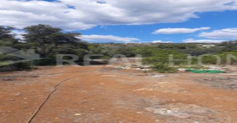 Terreno Rústico  Venda em Loulé (São Clemente),Loulé