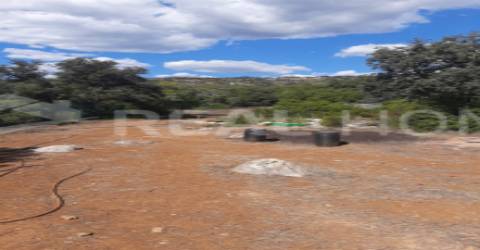 Terreno Rústico  Venda em Loulé (São Clemente),Loulé