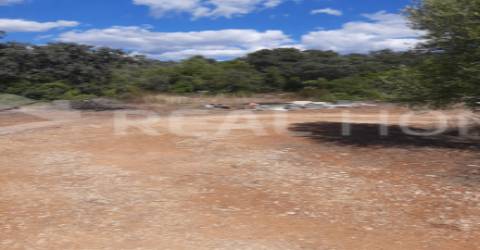 Terreno Rústico  Venda em Loulé (São Clemente),Loulé